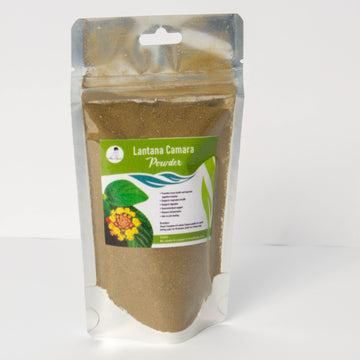 Lantana Camara Powder